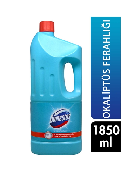 DOMESTOS OKYANUS FERAHLIĞI ÇAMAŞIR SUYU 1850 ML
