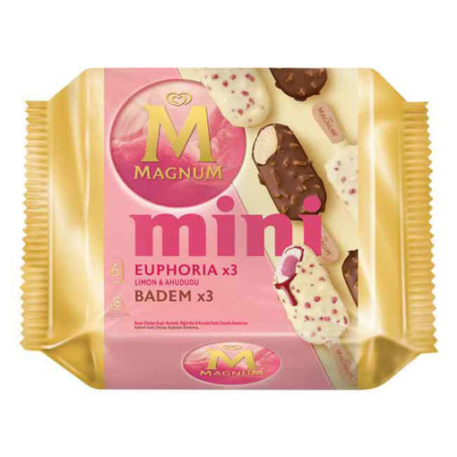 ALGIDA MAGNUM MINI EUPHORIA LİMON & AHUDUDU  BADEM 353 ML
