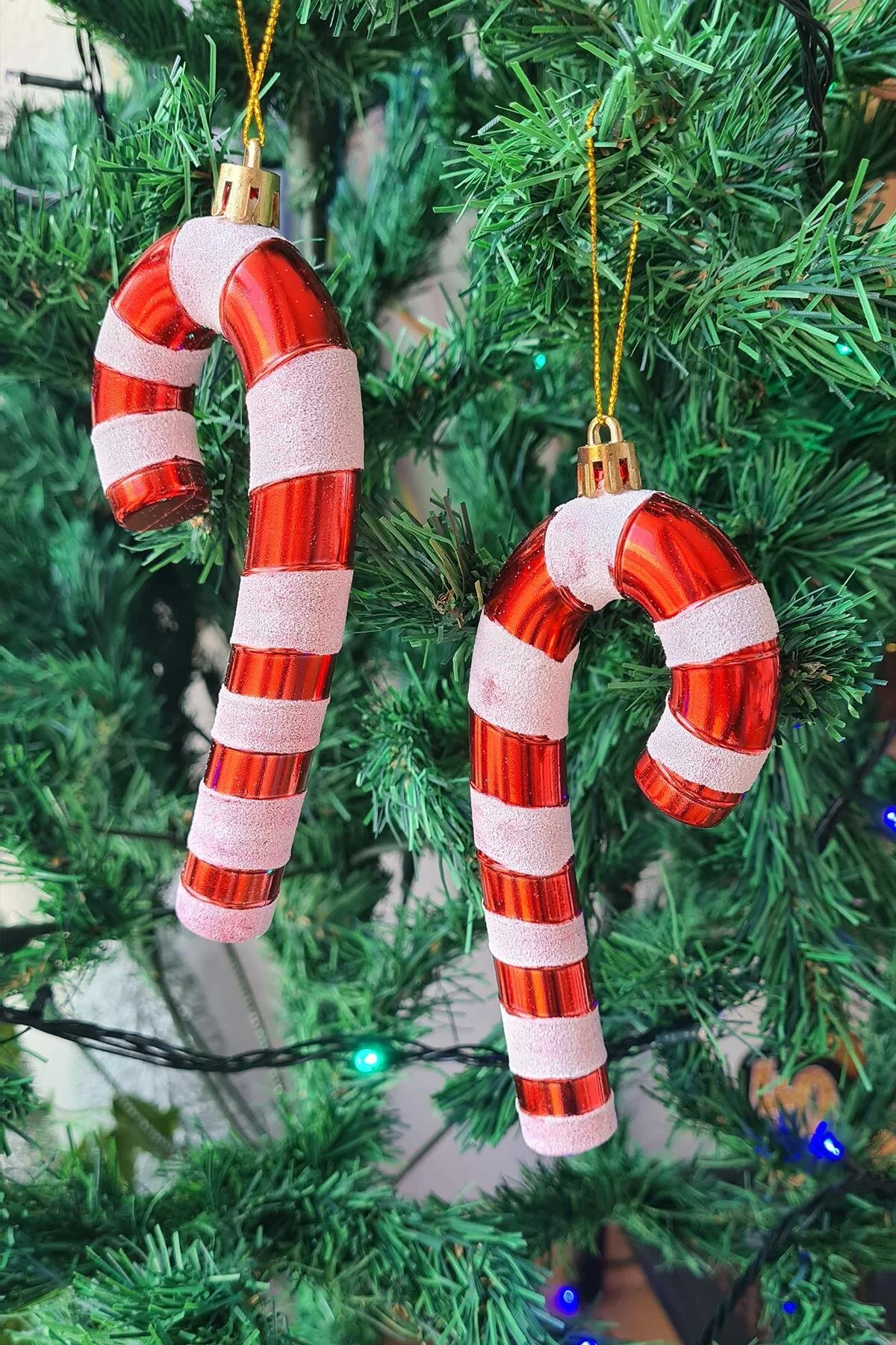 YILBAŞI AĞAÇ BASTON SÜS