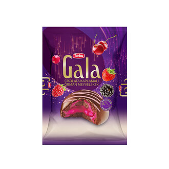 TORKU GALA ORMAN MEYVELİ KEK 50 GR