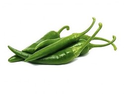 JALAPENO