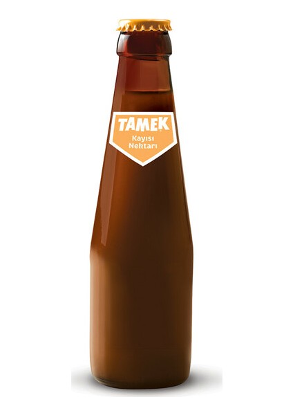 TAMEK KAYISI MEYVESUYU ŞİŞE 200 ML