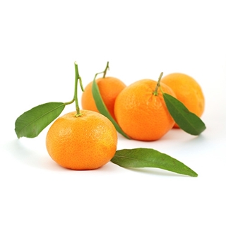 DAL MANDALİNA 