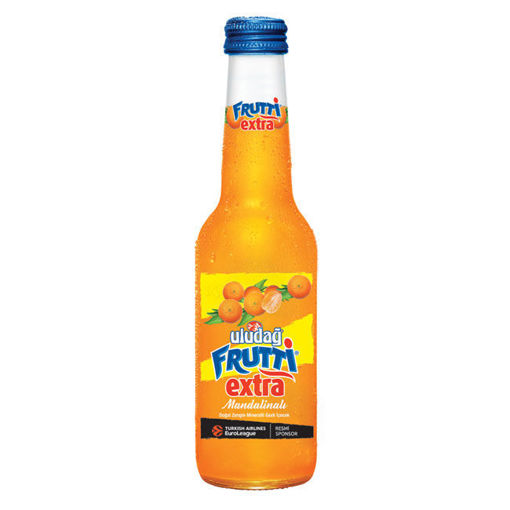 ULUDAĞ FRUTTİ EXTRA MANDALİNA 250 ML CAM  ŞİŞE