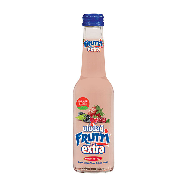 ULUDAĞ FRUTTİ EXTRA ORMAN MEYVELİ 250 ML CAM ŞİŞE