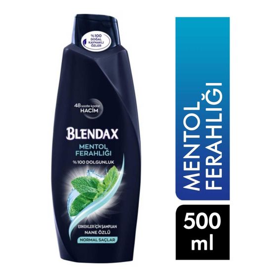 BLENDAX MEN MENTOL FERAHLIĞI   ŞAMPUAN 500 ML 