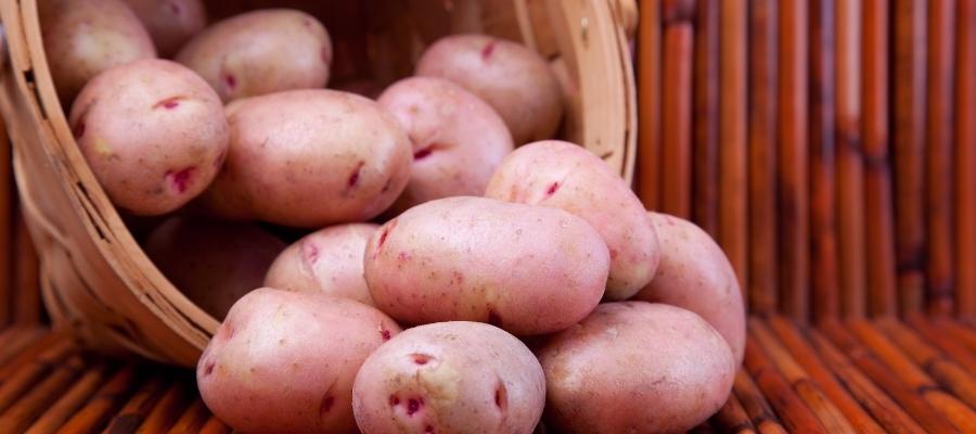 KIRMIZI PATATES