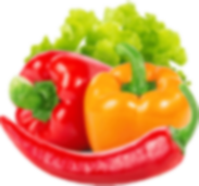 SÜPER MAYA PEYNİR MAYASI 500 GR